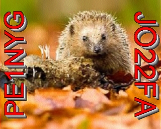 PE1NYG: 2025-11-16 de PI1DFT