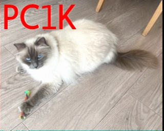 PC1K: 2025-11-28 de PI1DFT