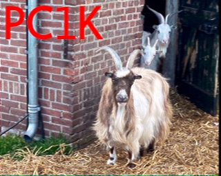 PC1K: 2025-12-02 de PI1DFT