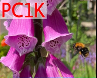 PC1K: 2025-12-02 de PI1DFT