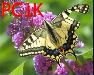 PC1K: 2025-12-16 de PI1DFT