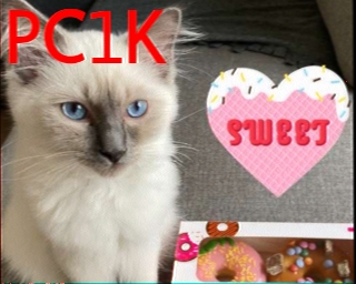 PC1K: 2025-12-17 de PI1DFT