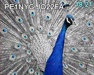 PE1NYG: 2026-01-12 de PI1DFT