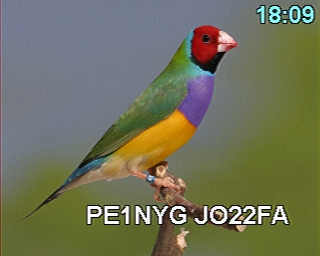 PE1NYG: 2026-01-13 de PI1DFT