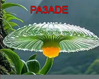 PA3ADE: 2026-01-18 de PI1DFT