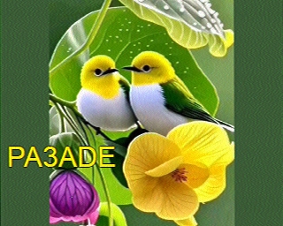 PA3ADE: 2026-01-18 de PI1DFT