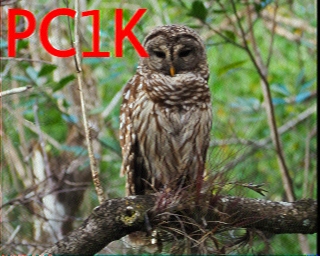 PC1K: 2026-01-20 de PI1DFT