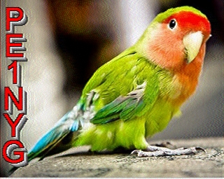 PE1NYG: 2026-01-20 de PI1DFT