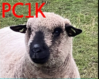 PC1K: 2026-01-22 de PI1DFT