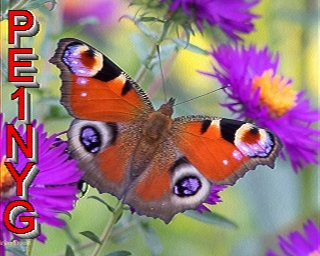 PE1NYG: 2026-01-23 de PI1DFT