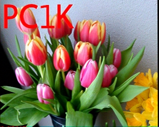 PC1K: 2026-02-10 de PI1DFT