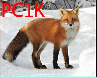 PC1K: 2026-02-11 de PI1DFT