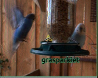 PA3MHV: 2026-02-15 de PI1DFT