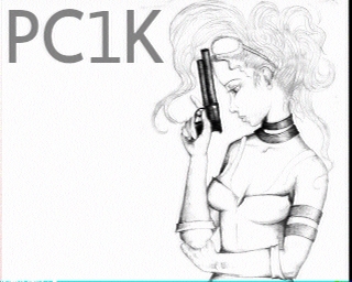 PC1K: 2026-02-18 de PI1DFT