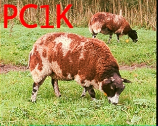 PC1K: 2026-03-07 de PI1DFT