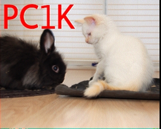 PC1K: 2026-03-07 de PI1DFT