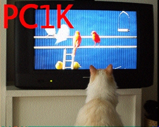 PC1K: 2026-04-18 de PI1DFT