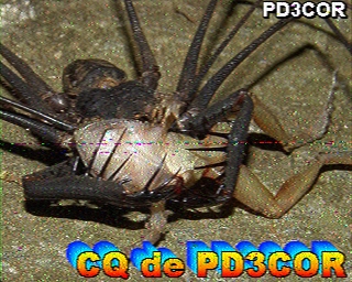 PD3COR: 2026-04-19 de PI1DFT