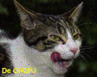 ON2PJ: 2026-04-24 de PI1DFT