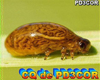 PD3COR: 2026-04-24 de PI1DFT