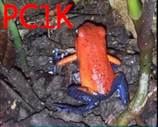 PC1K: 2026-04-29 de PI1DFT