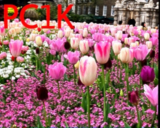 PC1K: 2026-04-29 de PI1DFT