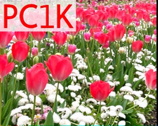 PC1K: 2026-05-07 de PI1DFT