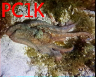 PC1K: 2026-05-18 de PI1DFT