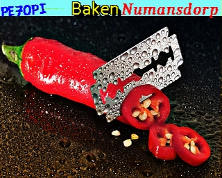 PE7OPI: 2026-05-19 de PI1DFT