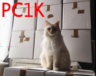 PC1K: 2026-05-29 de PI1DFT