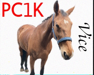PC1K: 2026-05-30 de PI1DFT
