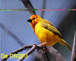 ON2PJ: 2026-06-26 de PI1DFT