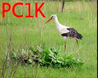 PC1K: 2026-07-15 de PI1DFT
