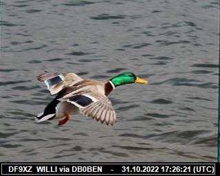 DF9XZ: 2022103117 de PI1DFT