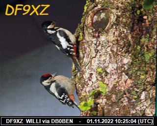 DF9XZ: 2022110110 de PI1DFT