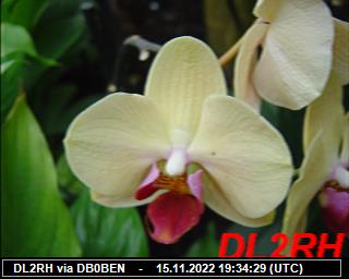 DL2RH: 2022111519 de PI1DFT