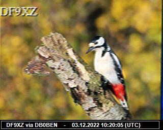 DF9XZ: 2022120310 de PI1DFT