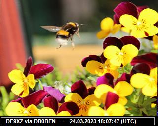 DF9XZ: 2023032418 de PI1DFT