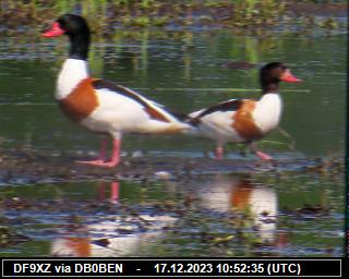 DF9XZ: 2023121710 de PI1DFT