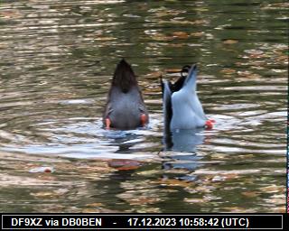 DF9XZ: 2023121710 de PI1DFT