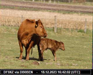 DF9XZ: 2023121816 de PI1DFT