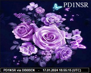 PD1NSR: 2024011718 de PI1DFT
