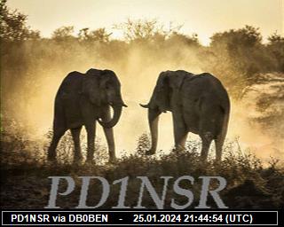 PD1NSR: 2024012521 de PI1DFT