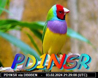 PD1NSR: 2024020321 de PI1DFT