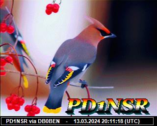 PD1NSR: 2024031320 de PI1DFT