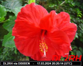 DL2RH: 2024031720 de PI1DFT