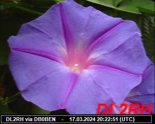 DL2RH: 2024031720 de PI1DFT