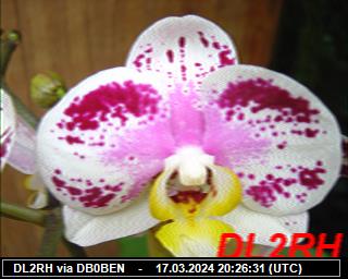 DL2RH: 2024031720 de PI1DFT