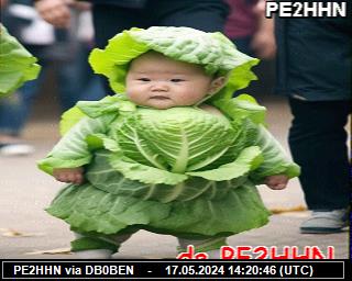 PE2HHN: 2024051714 de PI1DFT