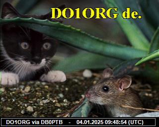 DO1ORG: 2025010409 de PI1DFT